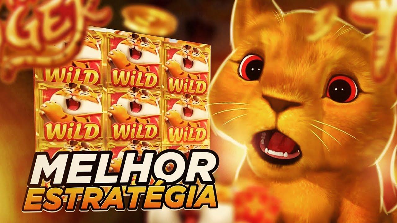 Cuidado com o Tigre #raiamsantos #ruyter #jogodotigre