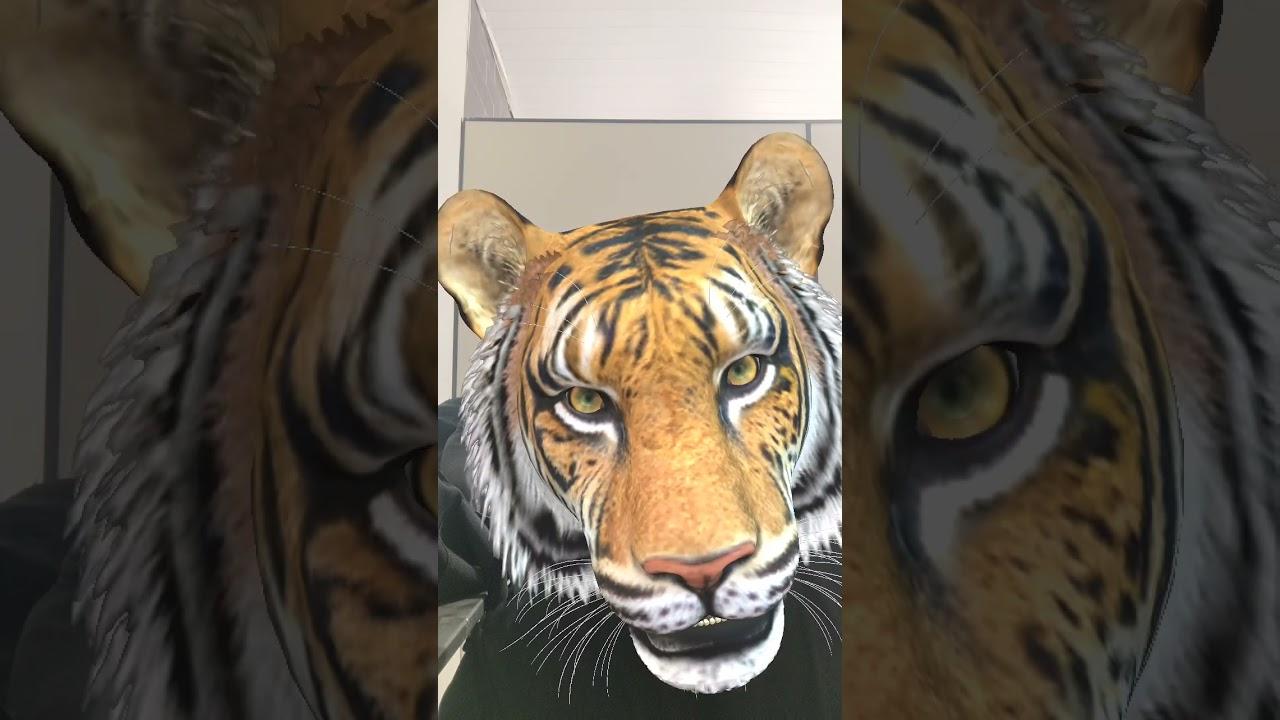 JOGO DO TIGRE: TUDO O QUE VOC^E PRECISA SABER PARA GANHAR DINHEIRO EM