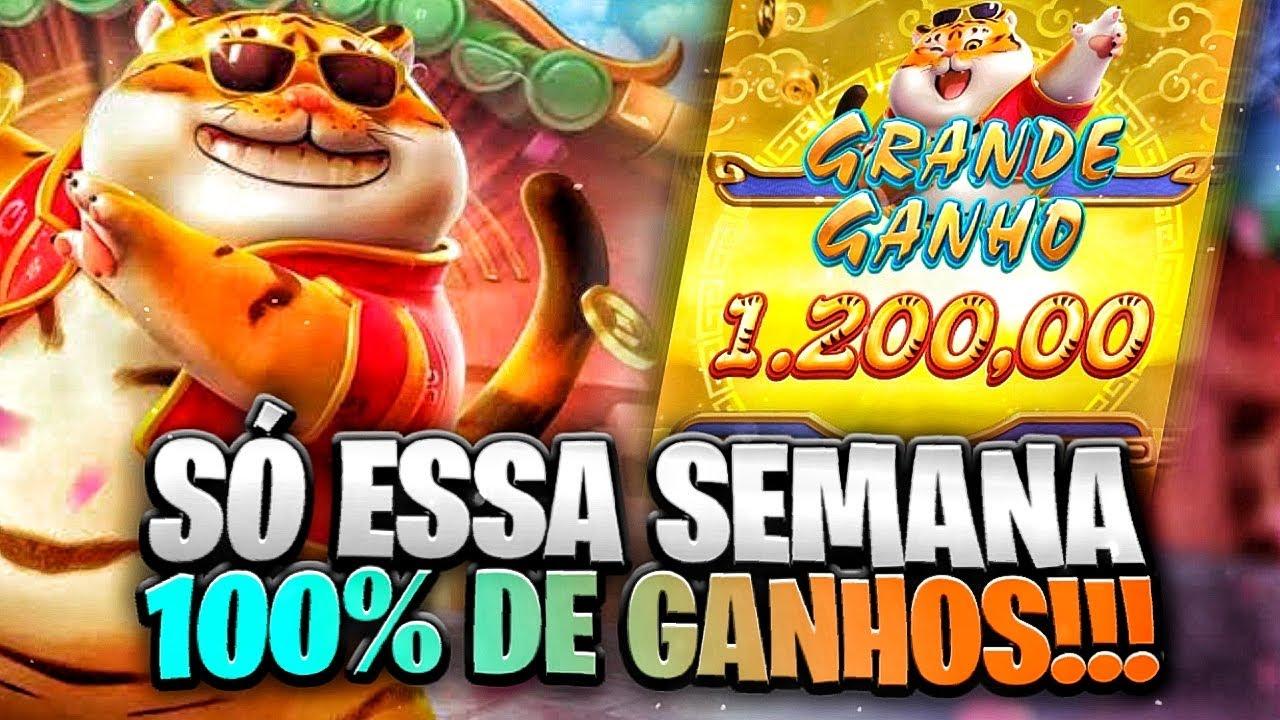 jogo do gatinho slot